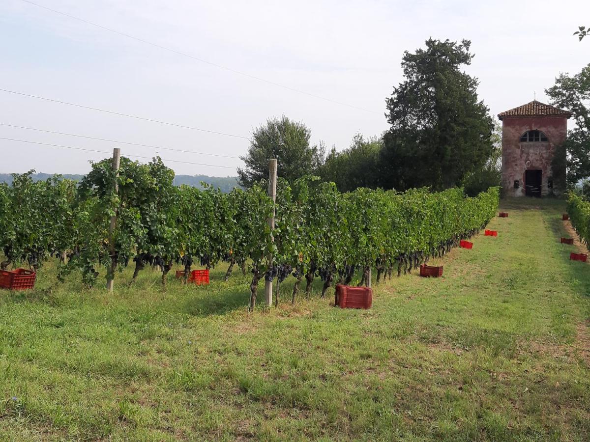 Marchesi Incisa Winery Lodge Rocchetta Tanaro Eksteriør bilde